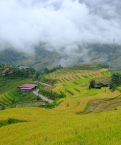 HANOI - TA XUA - MU CANG CHAI - SAPA - HANOI (8D/7N) 28 Tavan sapa 3