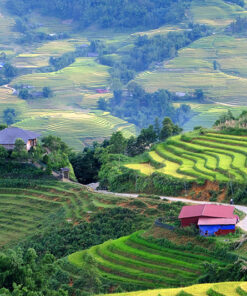 HANOI - TA XUA - MU CANG CHAI - SAPA - HANOI (8D/7N) 30 Ylinhho 1