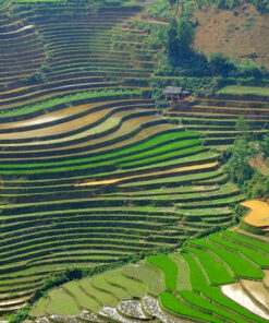 HANOI - TA XUA - MU CANG CHAI - SAPA - HANOI (8D/7N) 21 Mu Cang Chai 1