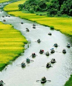 VLN-G03: HOA LU - TAM COC - MUA CAVE - 1 DAY