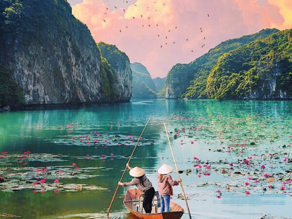 VLN-G08: BAI DINH – TRANG AN -1 DAY