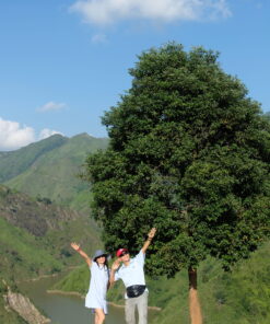 HANOI - TA XUA - MU CANG CHAI - SAPA - HANOI (8D/7N) 36 Ta Xua 10 scaled