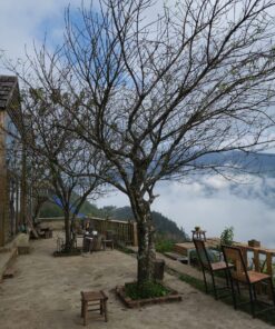 HANOI - TA XUA - MU CANG CHAI - SAPA - HANOI (8D/7N) 34 Ta Xua 8 scaled
