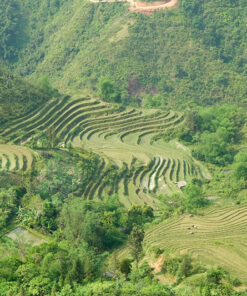 HANOI - HA GIANG - CAO BANG - NINH BINH - HANOI (8D/7N)
