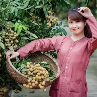 Hung Yen Longan Tea – An Elegant Beverage for Modern Living 4 4 nhan long hung yen ngon