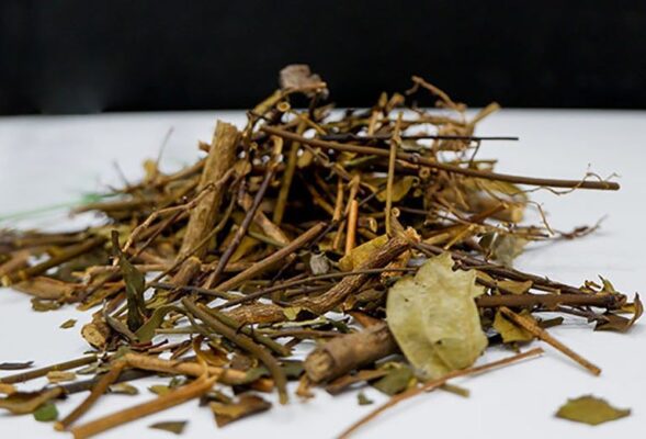 Vang Tea – A Traditional Herbal Specialty of Central Vietnam 2 Noi ban che vang kho