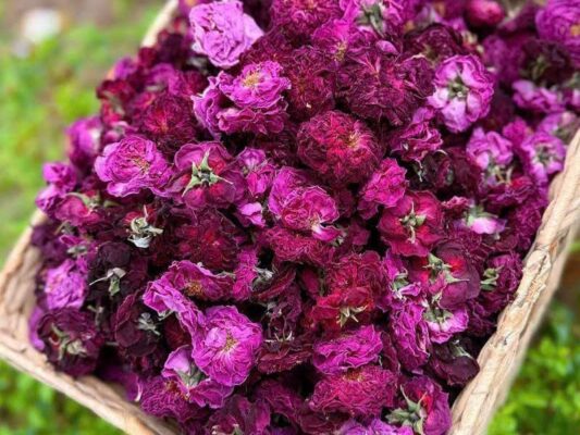 Rose Tea – Savor a Cup of Tea, Find a Moment of Peace 5 Tra Hoa Hong 10