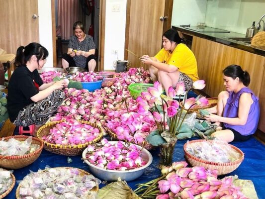 West Lake Lotus Tea – The Essence of Vietnam's Traditional Tea-Scenting Art 4 Tra Sen Ho Tay 1