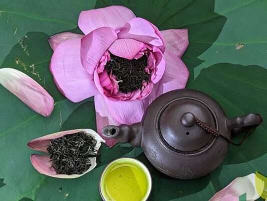 West Lake Lotus Tea – The Essence of Vietnam's Traditional Tea-Scenting Art 3 Tra Sen Ho Tay 3