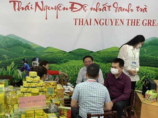 🍃 Thai Nguyen Tea – The Essence of Vietnamese Tea Culture 4 Tra Thai Nguyen 6