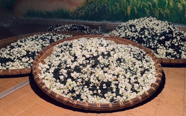 The Perfect Harmony of Tea and Jasmine – A Timeless Tradition in Vietnamese Tea Culture 3 Tra hoa nhai 1