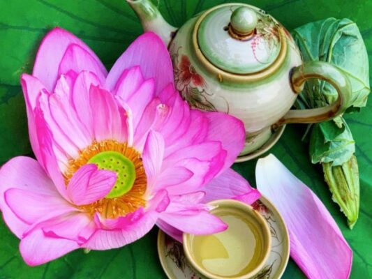 West Lake Lotus Tea – The Essence of Vietnam's Traditional Tea-Scenting Art 5 Tra sen Ho Tay 2