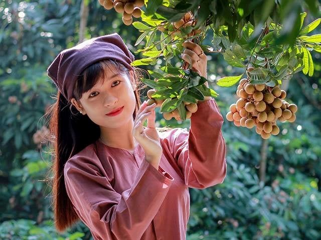 Hung Yen Longan Tea – An Elegant Beverage for Modern Living 1 nhan 4