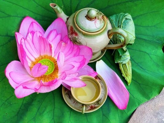 West Lake Lotus Tea – The Essence of Vietnam's Traditional Tea-Scenting Art 3 tra sen 1