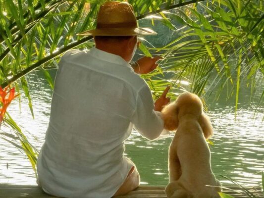 Hoi An: A Hidden Gem for Pet-Friendly Travel in Asia 2 Du lich cung thu cung