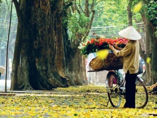 Mua thu Ha noi 1