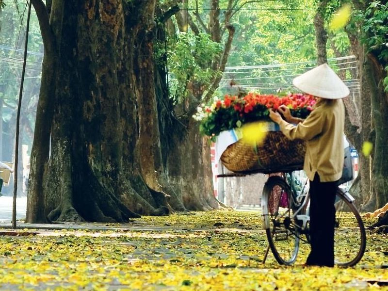 7 Reasons You Should Visit Hanoi in Autumn 1 Mua thu Ha noi 1