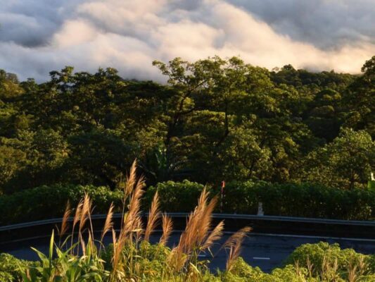 The most beautiful days, let’s meet in the mountains of Ba Vi 3 Ba vi 3