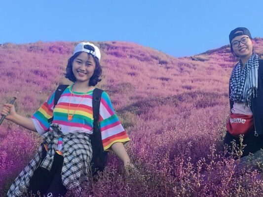 A Date with Chi Pâu Flowers on the Summit of Tà Chì Nhù 2 Hoa Chi Pau