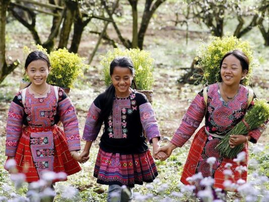 Moc Chau Welcomes an Early Plum Blossom Season – A Pure White Wonderland Calling Travelers to the Highlands 2 Moc Chau 1