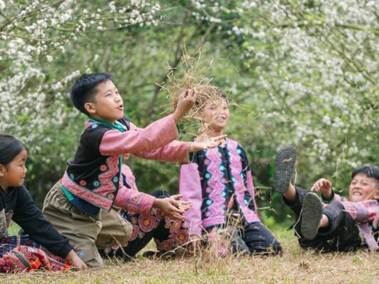 Moc Chau Welcomes an Early Plum Blossom Season – A Pure White Wonderland Calling Travelers to the Highlands 3 Moc Chau 3