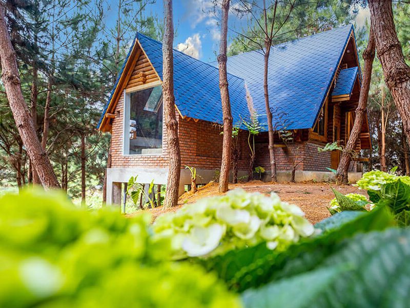 The Nordic Village – A Unique Scandinavian-Inspired Retreat in the Mountains of Moc Chau 1 Moc Chau 5