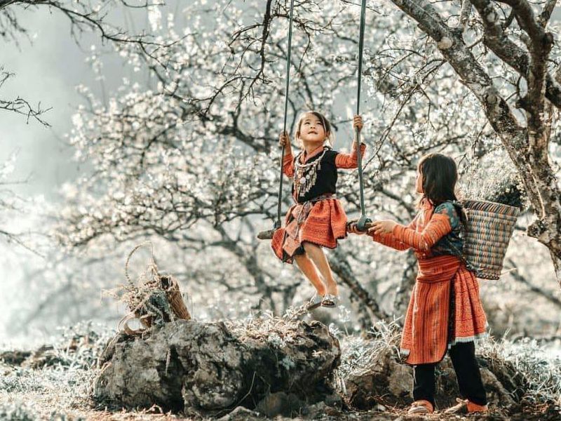 Moc Chau Welcomes an Early Plum Blossom Season – A Pure White Wonderland Calling Travelers to the Highlands 1 Moc Chau