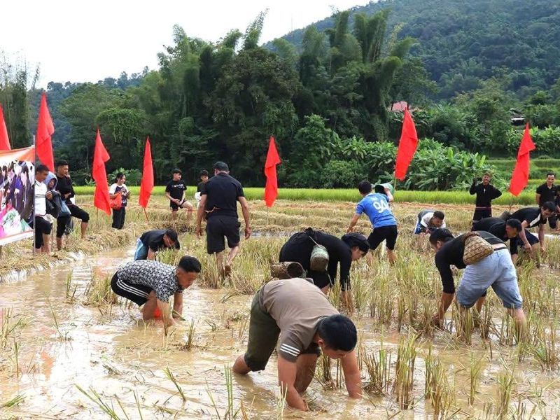 Discover the Unique Culture of the Tay Fish Festival in Mau Due 1 Tet ca Nguoi Tay 2